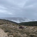 IMG 0524